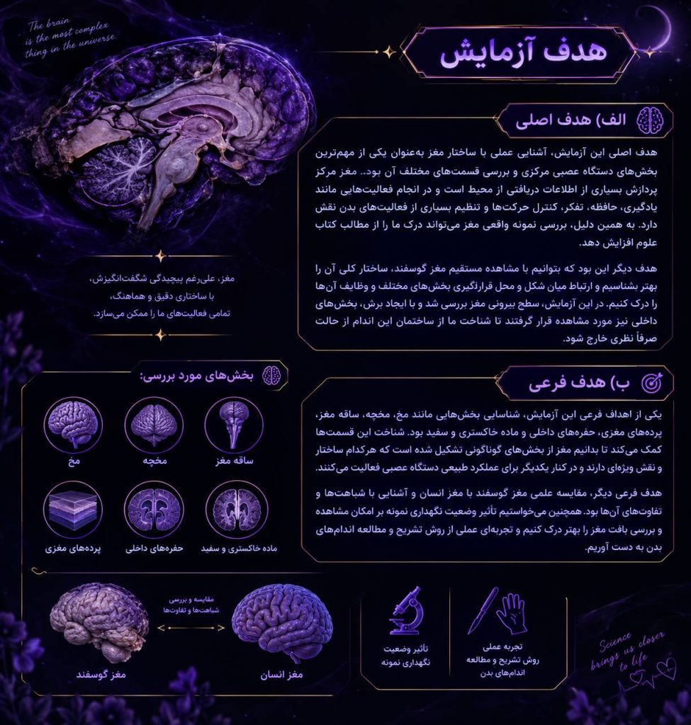 بخش هدف آزمایش در غالب تصویر